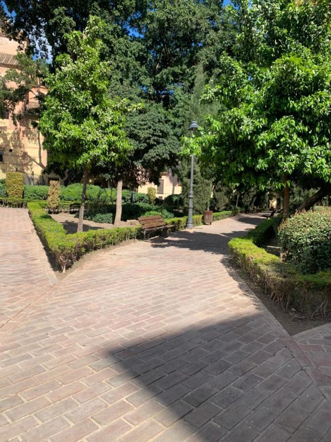 Apartment San Patricio 7 *